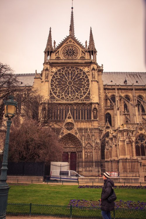 Even more Notre Dame